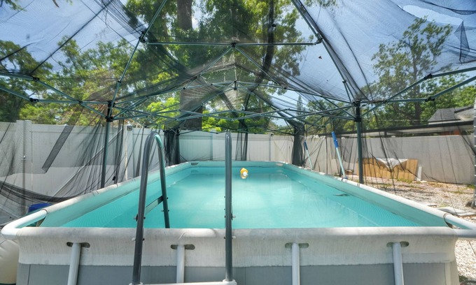 Old Seminole Heights Apartamento | Charming Stay w/ Pool & Grill