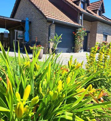 Wibrin Casa | Chez Baf - Wibrin - Houffalize