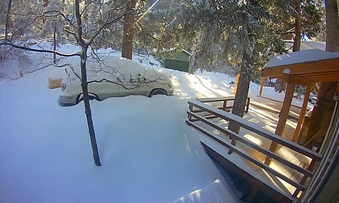 Pine Cove Cabina | Child- & Dog-friendly 3-Bedroom Eco-Cabin w/Fully Enclosed Yard & Late Check-Out