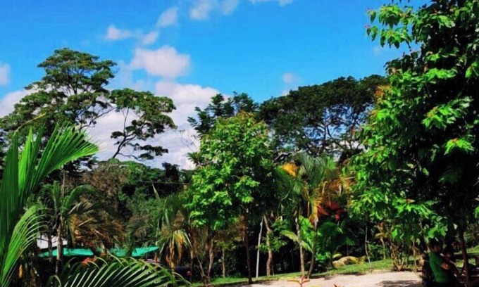 La Banda de Shilcayo Cabina | CHOCLINO ECOLODGE BUNGALOWS