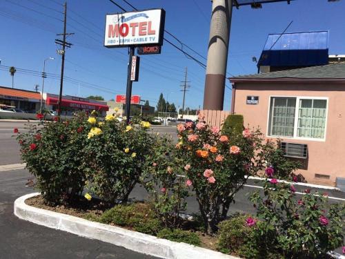Van Nuys Hotel | Cinema Motel