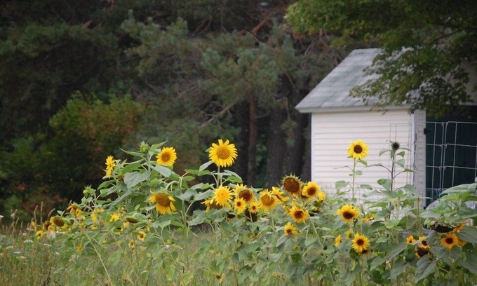Jefferson Cama Y Desayuno | Clary Lake Bed and Breakfast