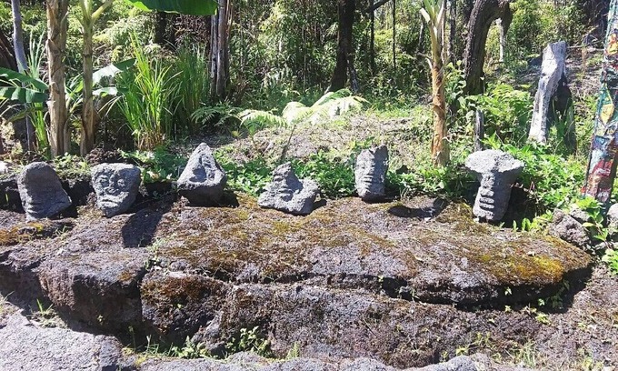 Fern Forest Casa | Clean Off-Grid Art Lovers Rainforest Hideaway!