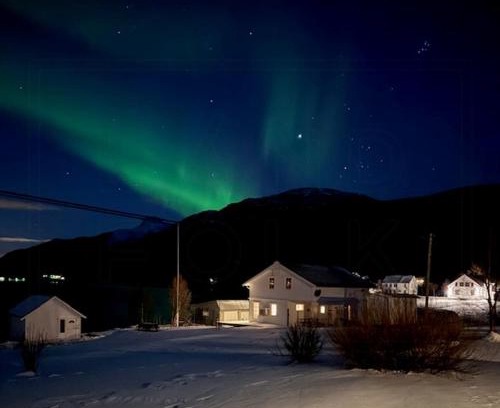 Dyroy Municipality Casa | Coastal Cabin In Kastneshamn