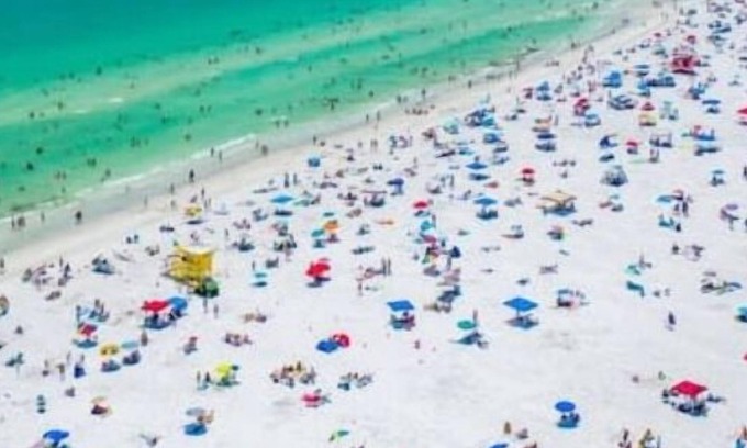 Bee Ridge Casa | Cocohut in Sarasota Siesta Key