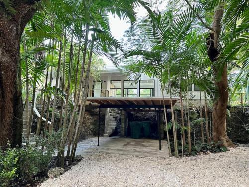 Southwest Coconut Grove Casa | Coconut Grove Mid-Century Jungle Oasis