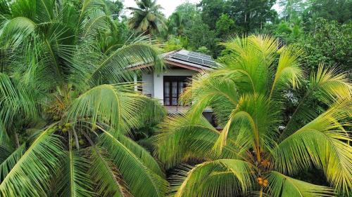 Baddegama Apartamento | Coconut Shady Villa