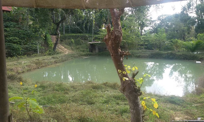 Virarajendrapet Casa | Casas de familia y casas de campo de café