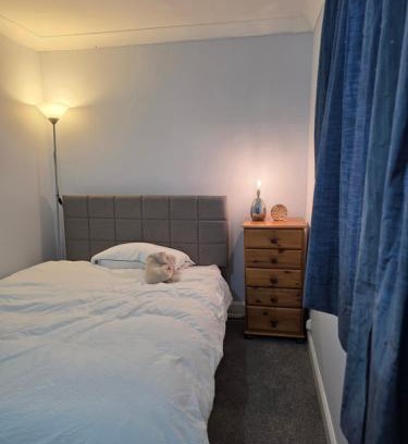 Colchester Casa | Colchester chill x1