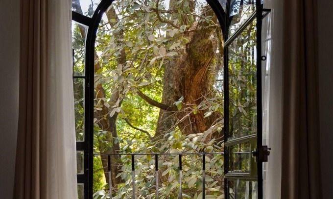 San Miguel Hotel | Colibrí Hotel