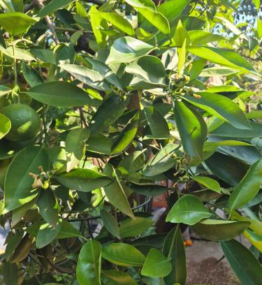 Kimberley Casa | Comfy Home