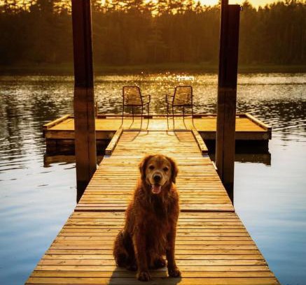 Saint Croix Casa | Compass Cove Cottage Oceanfront and Private trails