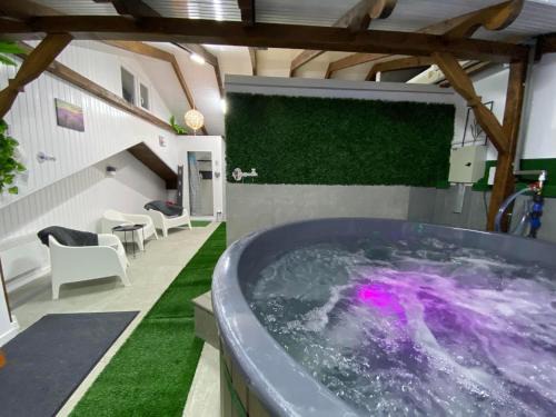 Boghis Otro | Complex Turistic Dávid