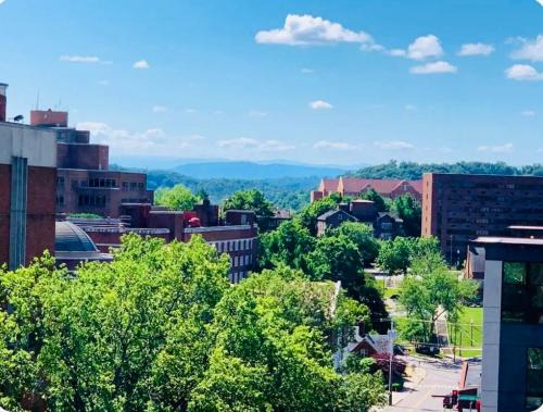 Fort Sanders Apartamento | Condo Close to Stadium and Free Parking