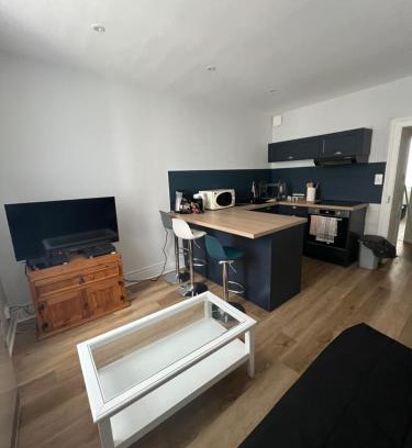 Oyonnax Apartamento | Confort appart