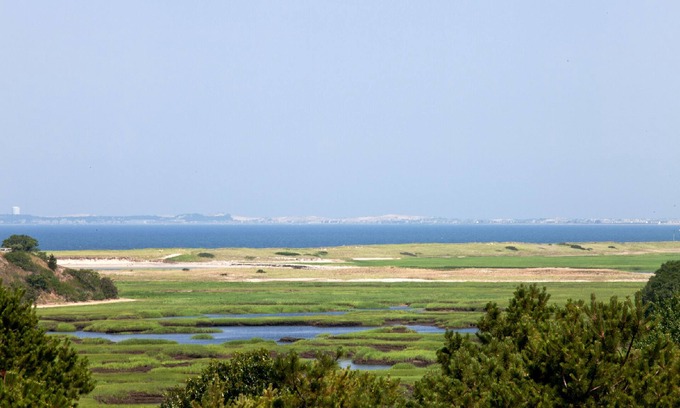Wellfleet Casa | Casa contemporánea en 4+ acres aislados con magníficas vistas de Pamet y la bahía