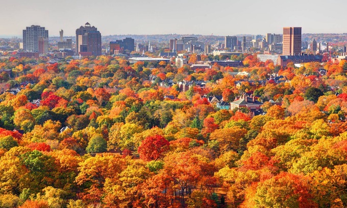 Cos Cob Apartamento | Cos Cob Flat - Clean, centrally located, dining, shopping close to transit