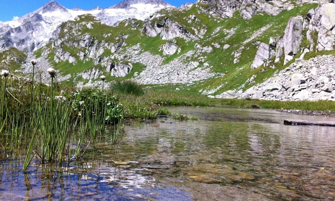Blenio Apartamento | Acogedor apartamento para 4 personas con WIFI, TV, patio y mascotas permitida
