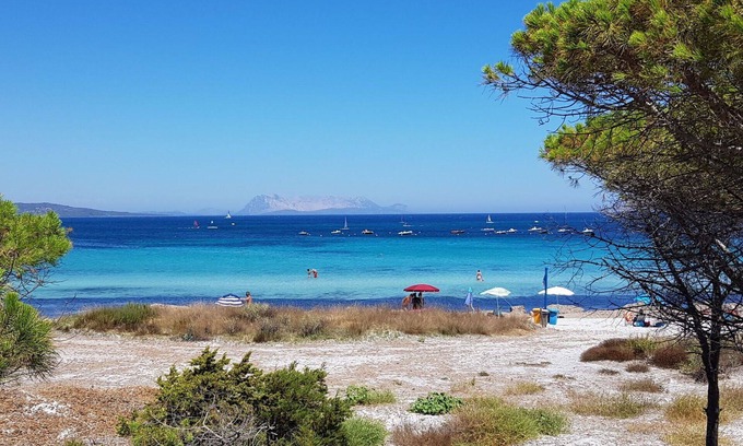 Schifoni Apartamento | Acogedor apartamento para 6 personas con WIFI, A/C, TV, patio y mascotas permitida