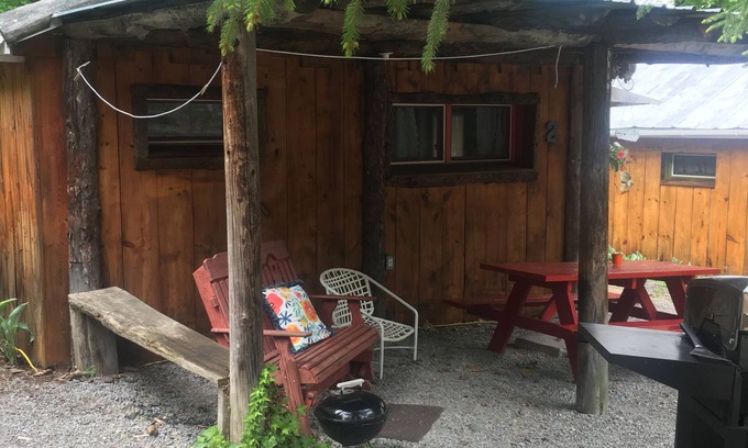 Trumansburg Cabina | Acogedora cabina con vistas al lago desde el patio para 6 personas!