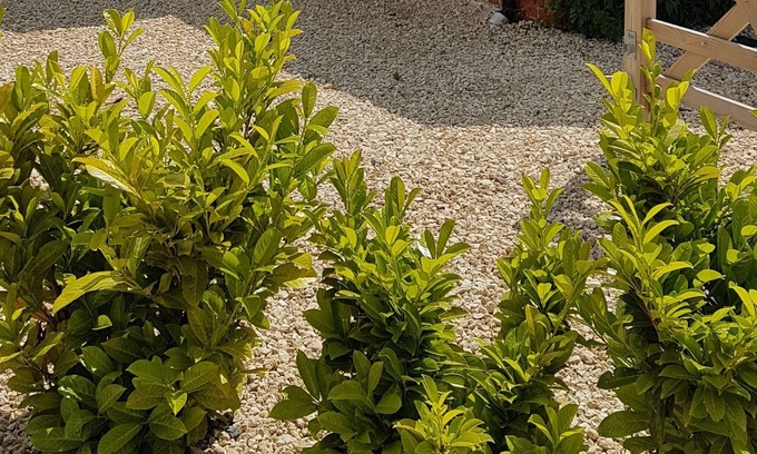 Trowbridge Cabaña | Acogedora casa de campo en Wiltshire