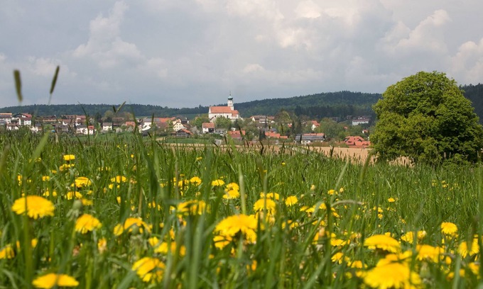 Stamsried Casa | Casa de campo para 4 personas con 55m² en Stamsried (117194)