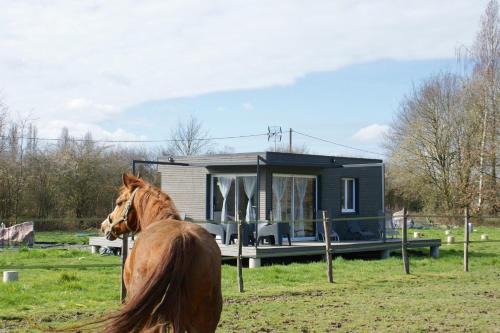 Saint-Fargeau Apartamento | Cottage tout confort au milieu des chevaux