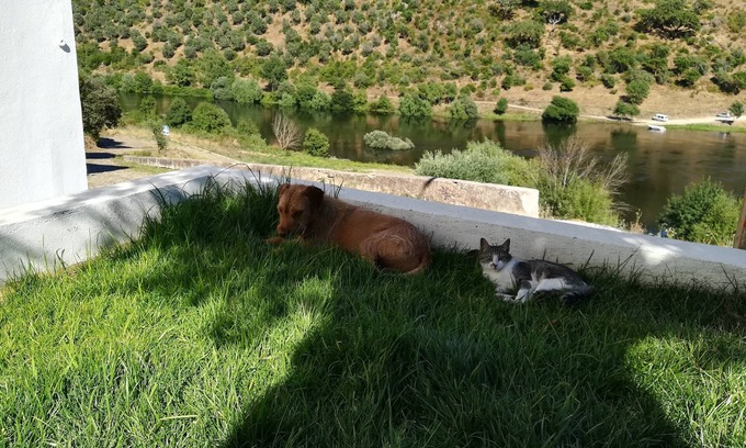 Envendos Cabaña | Country house with 2 floors in front of the Tagus River