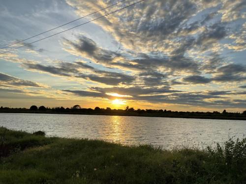 Phanat Nikhom Casa | Countryside Rainbow Sweet Home Freshy Pets