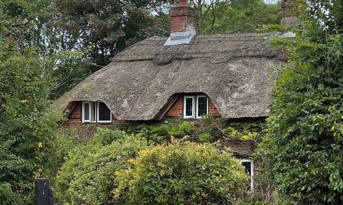 Ropley Cabaña | Countryside Thatched Cottage