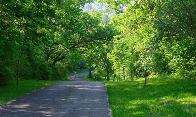 West Chester Apartamento | Cozy 1-bedroom apartment with AC and WiFi, secluded, private, and professional