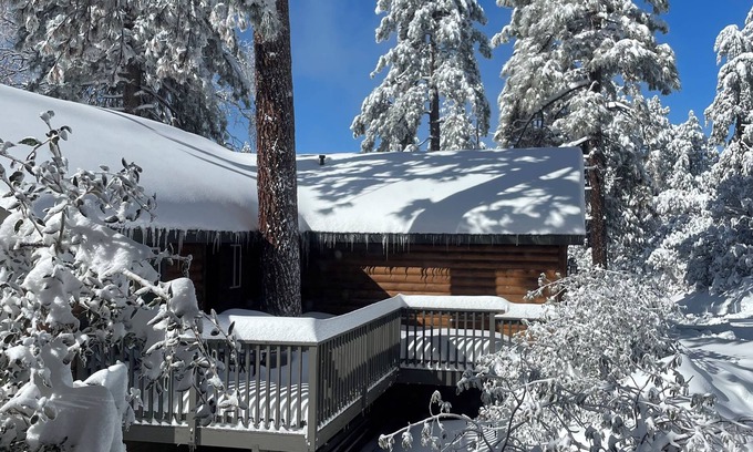 Pine Cove Casa | Cozy 3 bedroom house in Idyllwild with garage and electric car charging outlet.