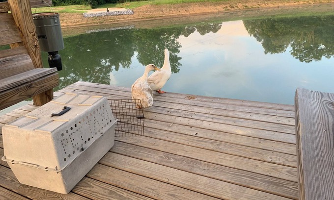 Ragland Casa | Cozy 4-bedroom barn with AC and WiFi in lovely Ragland. Unwind and enjoy.