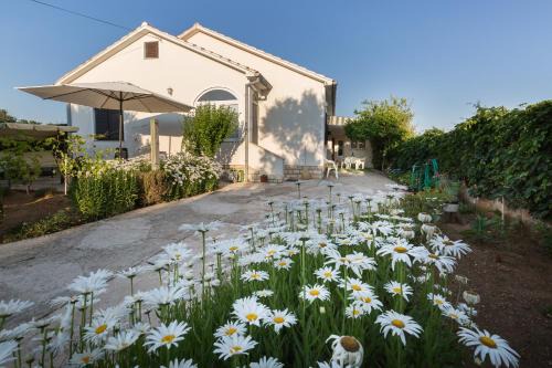 Privlaka Apartamento | Cozy apartment Josipa