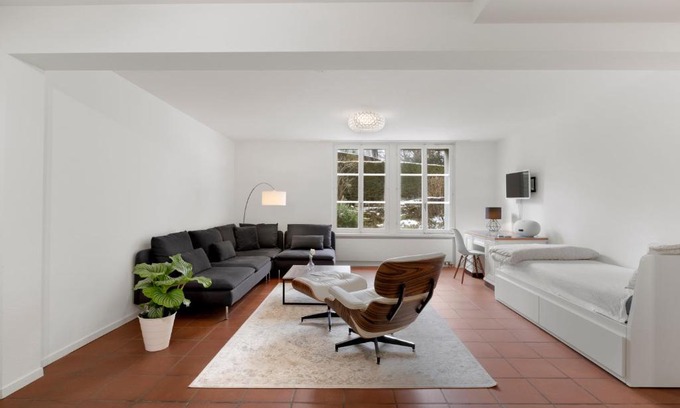 Goldau Apartamento | Cozy Boutique Apartment at Mt. Rigi