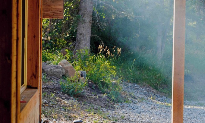 Midway Cabina | Cozy Cabin Retreat with Forest Views