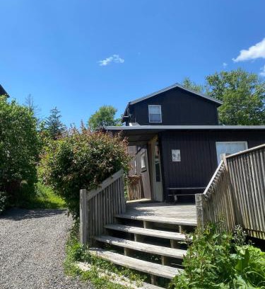 Carbondale Casa | Cozy Cottage - Sunrise and Lake Views - Shared Dock - Community Beach