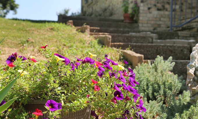Culleoka Cabaña | Cozy Country Cottage