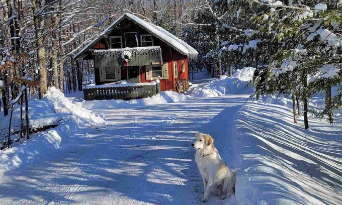 Bessemer Chalet De Esquí | Chalet de esquí Creekside cerca de la montaña Big Powderhorn