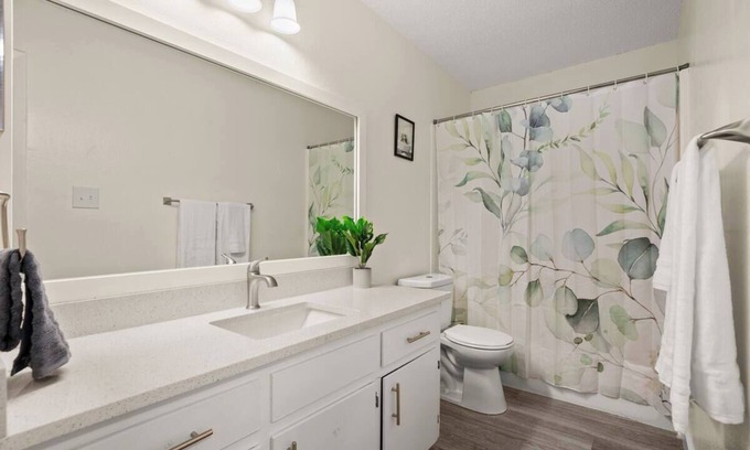 South Manchaca Apartamento | Cozy Emerald Hideaway - Pet Friendly