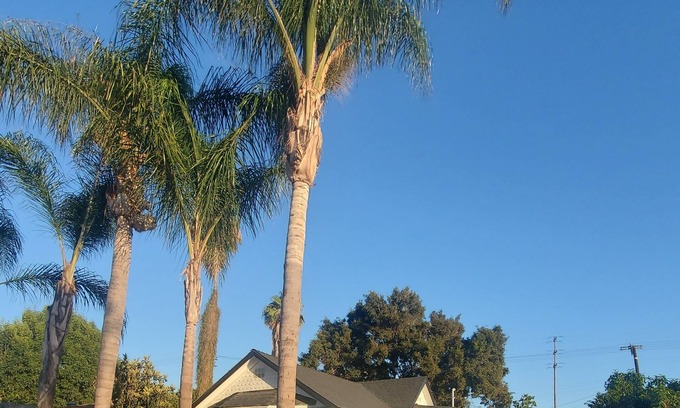 Harbor Casa | Cozy guest house, 3min to LB Memorial Medical Center!