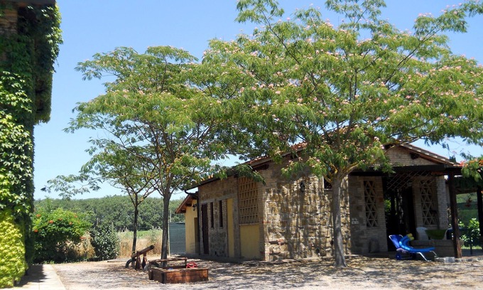 Torgiano Casa | Acogedora casa de vacaciones con piscina en una finca de vino. Wi-Fi gratis; huerta libre