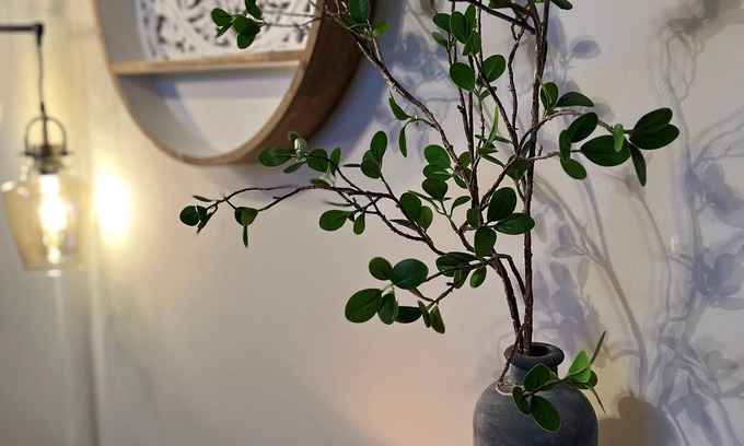 La Vergne Casa | Cozy Home~HotTub~120" LaserTV