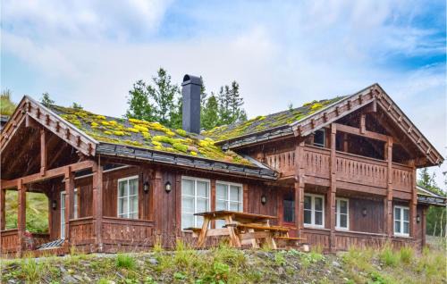 Atra Casa | Cozy Home In Rjukan With Kitchen