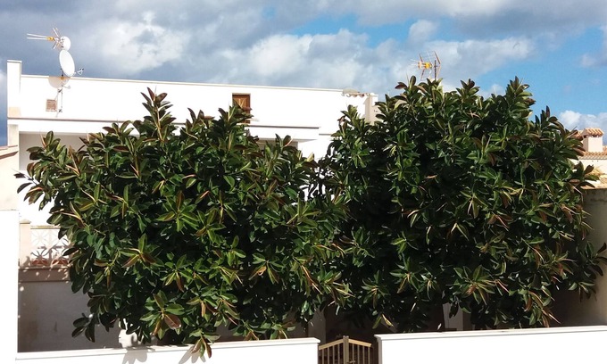 Son Serra de Marina Chalet De Esquí | CASA ACOGEDORA A 100 METROS DE LA PLAYA DE SON SERRA DE MARINA