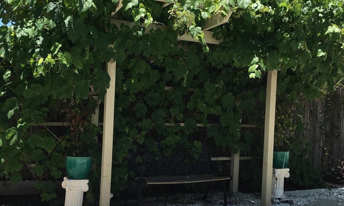 Temecula Casa | Casa acogedora, patio trasero enorme, corazón de Temecula