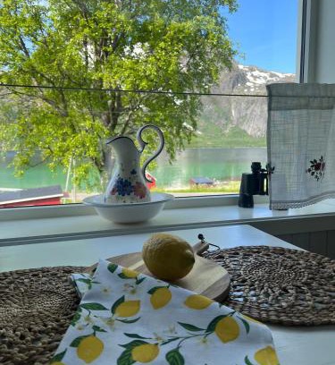 Hadsel Casa | Cozy house with amazing view Lofoten and Vesterålen