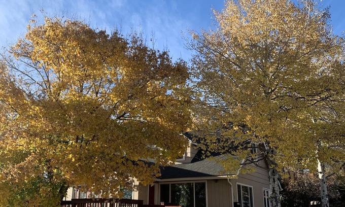 Altamont Casa | Cozy, peaceful getaway - less than 5 min from downtown Klamath