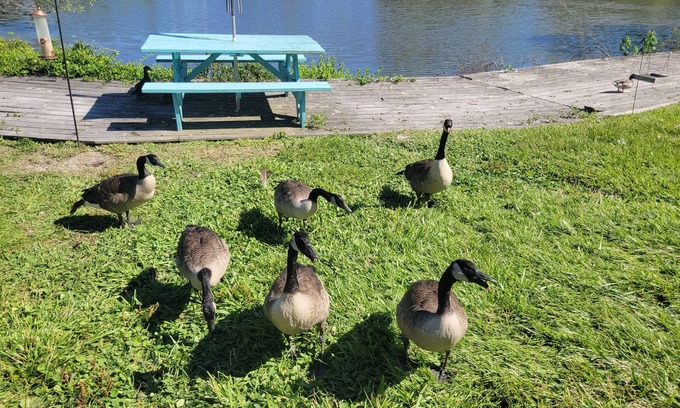 Virginia Beach Casa | Cozy Waterfront Townhome for Concert Goers, Beach Tourists, and Nature Lovers!