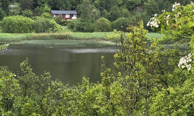 Hallevadsholm Chalet De Esquí | Cozy wilderness cabin at Kynnefjäll – close to lake, nature and hiking trails |SE09081